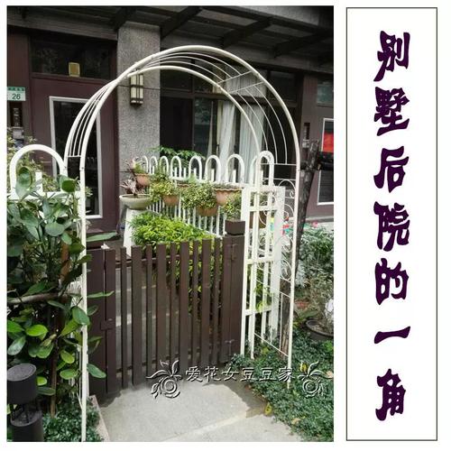 铁艺拱门与藤本月季 打造现代欧式花园的浪漫攀爬景观