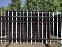 匠心铸造，铁韵传承——卓越铁艺制品公司简介